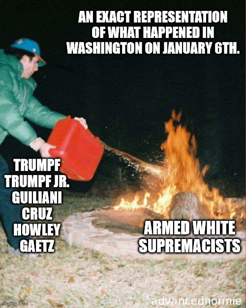 tRUMPf and the others need to be brought to justice and should be banned from political office. | AN EXACT REPRESENTATION OF WHAT HAPPENED IN WASHINGTON ON JANUARY 6TH. TRUMPF
TRUMPF JR.
GUILIANI
CRUZ
HOWLEY
GAETZ; ARMED WHITE SUPREMACISTS | image tagged in pouring gas on fire,sedition,traitoors,insurrection,impeach | made w/ Imgflip meme maker