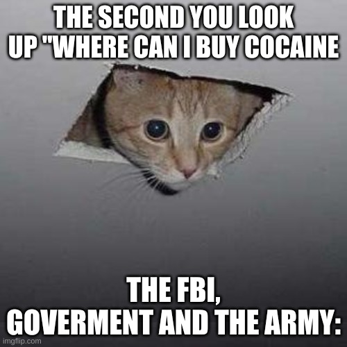 druggies better watch out | THE SECOND YOU LOOK UP "WHERE CAN I BUY COCAINE; THE FBI, GOVERMENT AND THE ARMY: | image tagged in memes,ceiling cat | made w/ Imgflip meme maker