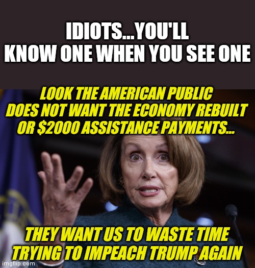 Idiots....they are easy to spot | IDIOTS...YOU'LL KNOW ONE WHEN YOU SEE ONE; LOOK THE AMERICAN PUBLIC DOES NOT WANT THE ECONOMY REBUILT OR $2000 ASSISTANCE PAYMENTS... THEY WANT US TO WASTE TIME TRYING TO IMPEACH TRUMP AGAIN | image tagged in good old nancy pelosi,waste of time | made w/ Imgflip meme maker