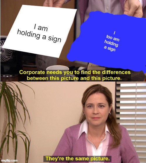 They're The Same Picture Meme | I am holding a sign; I too am holding a sign | image tagged in memes,they're the same picture | made w/ Imgflip meme maker