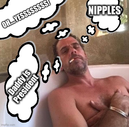 Hunter Biden; First Family International Business Tycoon | NIPPLES; OH....YESSSSSSSS! Daddy is
President | image tagged in hunter first family international business tycoon,hunter,biden,impeachment | made w/ Imgflip meme maker