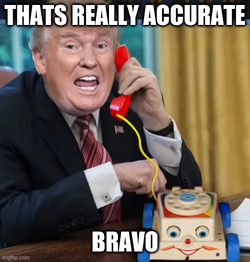I'm the president | THATS REALLY ACCURATE BRAVO | image tagged in i'm the president | made w/ Imgflip meme maker