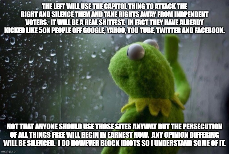 Sad Kermit | THE LEFT WILL USE THE CAPITOL THING TO ATTACK THE RIGHT AND SILENCE THEM AND TAKE RIGHTS AWAY FROM INDPENDENT VOTERS.  IT WILL BE A REAL SHITFEST.  IN FACT THEY HAVE ALREADY KICKED LIKE 50K PEOPLE OFF GOOGLE, YAHOO, YOU TUBE, TWITTER AND FACEBOOK. NOT THAT ANYONE SHOULD USE THOSE SITES ANYWAY BUT THE PERSECUTION OF ALL THINGS FREE WILL BEGIN IN EARNEST NOW.  ANY OPINION DIFFERING WILL BE SILENCED.  I DO HOWEVER BLOCK IDIOTS SO I UNDERSTAND SOME OF IT. | image tagged in sad kermit | made w/ Imgflip meme maker