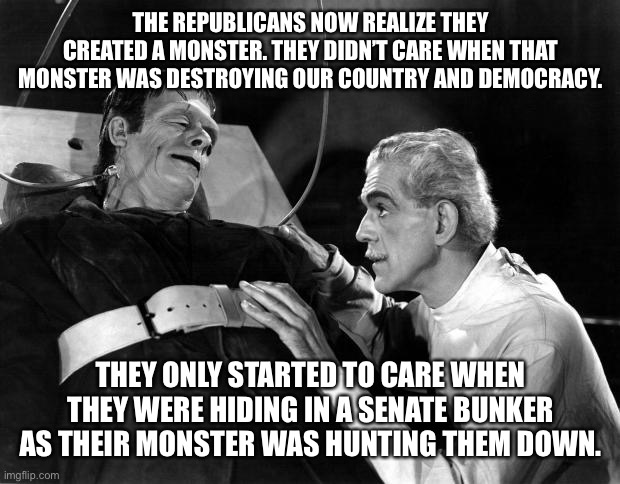dr frankenstein | THE REPUBLICANS NOW REALIZE THEY CREATED A MONSTER. THEY DIDN’T CARE WHEN THAT MONSTER WAS DESTROYING OUR COUNTRY AND DEMOCRACY. THEY ONLY STARTED TO CARE WHEN THEY WERE HIDING IN A SENATE BUNKER AS THEIR MONSTER WAS HUNTING THEM DOWN. | image tagged in dr frankenstein | made w/ Imgflip meme maker