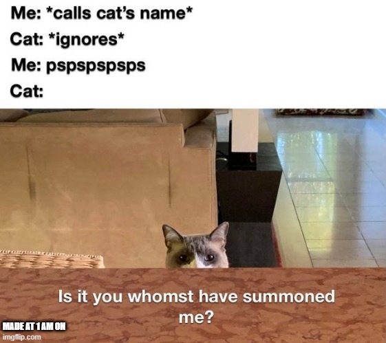 MADE AT 1 AM ON | image tagged in its a cat | made w/ Imgflip meme maker