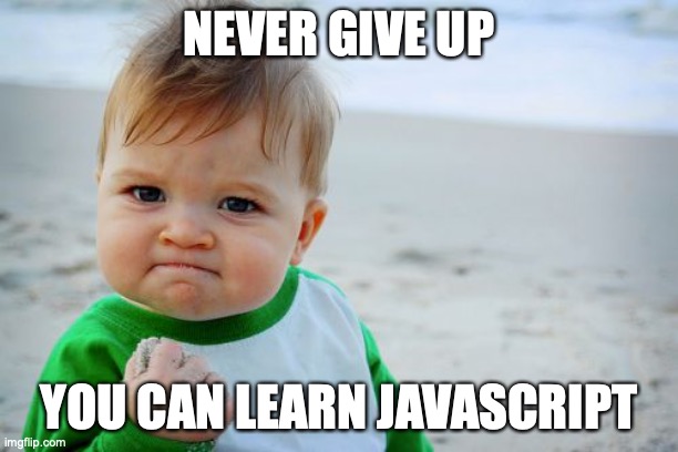 javascript | NEVER GIVE UP; YOU CAN LEARN JAVASCRIPT | image tagged in memes,success kid original | made w/ Imgflip meme maker
