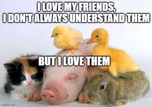 friendship | I LOVE MY FRIENDS,
I DON'T ALWAYS UNDERSTAND THEM; BUT I LOVE THEM | image tagged in baby animals | made w/ Imgflip meme maker
