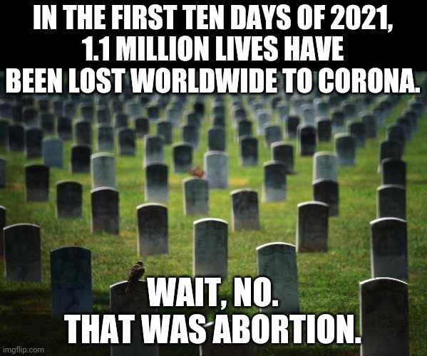 pales in comparison | IN THE FIRST TEN DAYS OF 2021,
1.1 MILLION LIVES HAVE BEEN LOST WORLDWIDE TO CORONA. WAIT, NO.
THAT WAS ABORTION. | image tagged in graveyard cemetary,coronavirus,abortion is murder,abortion | made w/ Imgflip meme maker