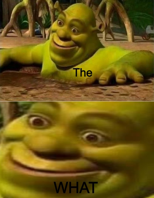 High Quality The what but Shrek Blank Meme Template