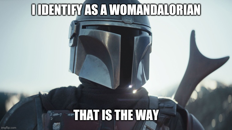 The Mandalorian. |  I IDENTIFY AS A WOMANDALORIAN; THAT IS THE WAY | image tagged in the mandalorian | made w/ Imgflip meme maker