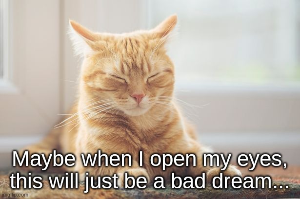 Maybe when I open my eyes, this will just be a bad dream... | image tagged in sleeping kitty | made w/ Imgflip meme maker