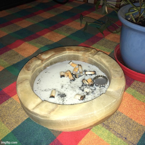 Ash tray | image tagged in weird,cereal | made w/ Imgflip meme maker