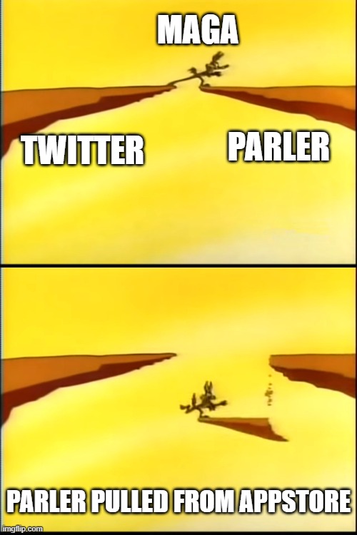 but muh free speech | MAGA; TWITTER; PARLER; PARLER PULLED FROM APPSTORE | image tagged in maga,trump,twitter,looney tunes | made w/ Imgflip meme maker