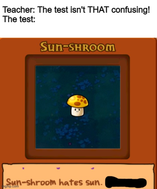S U N S H R O O M H A T E S S U N . | Teacher: The test isn't THAT confusing!
The test: | image tagged in memes,plants vs zombies,sun,mushroom | made w/ Imgflip meme maker