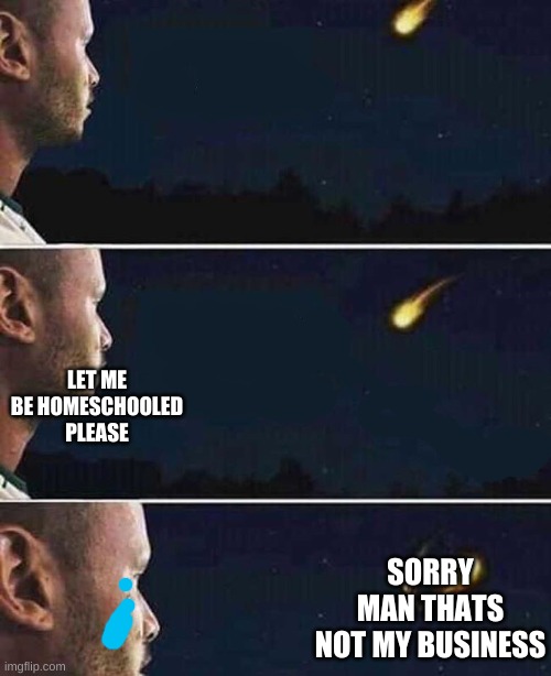 shooting star | LET ME BE HOMESCHOOLED PLEASE SORRY MAN THATS NOT MY BUSINESS | image tagged in shooting star | made w/ Imgflip meme maker