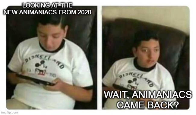 Fat Surprised Kid | LOOKING AT THE NEW ANIMANIACS FROM 2020; WAIT, ANIMANIACS CAME BACK? | image tagged in fat surprised kid | made w/ Imgflip meme maker