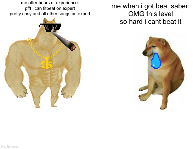 beat saber |  me after hours of experience: pfft i can fitbeat on expert pretty easy and all other songs on expert; me when i got beat saber:
OMG this level so hard i cant beat it | image tagged in memes,buff doge vs cheems | made w/ Imgflip meme maker