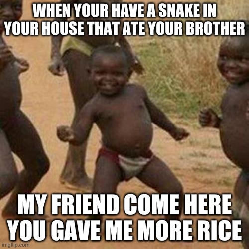 Third World Success Kid | WHEN YOUR HAVE A SNAKE IN YOUR HOUSE THAT ATE YOUR BROTHER; MY FRIEND COME HERE YOU GAVE ME MORE RICE | image tagged in memes,third world success kid | made w/ Imgflip meme maker