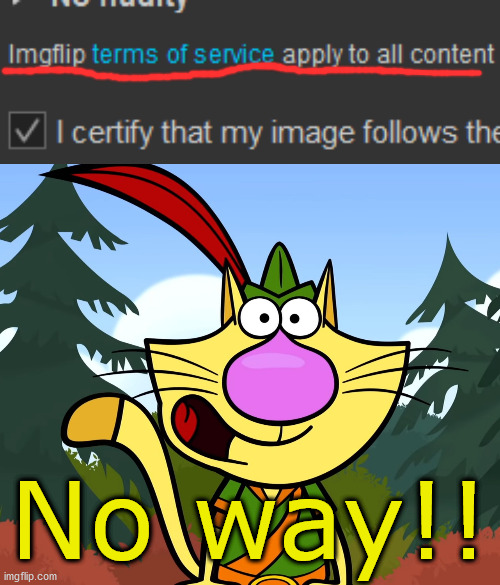 I was just submitting a meme and I found this. A new update? | No way!! | image tagged in no way nature cat | made w/ Imgflip meme maker