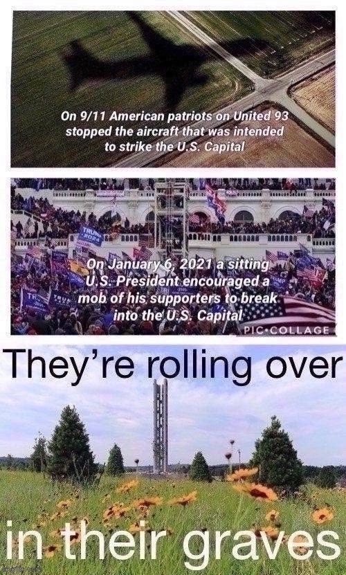 20 years ago, patriots above the skies of Pennsylvania defended our Capitol. 20 years later, did our President? | image tagged in congress,capitol hill,trump is an asshole,traitor,patriots,9/11 | made w/ Imgflip meme maker