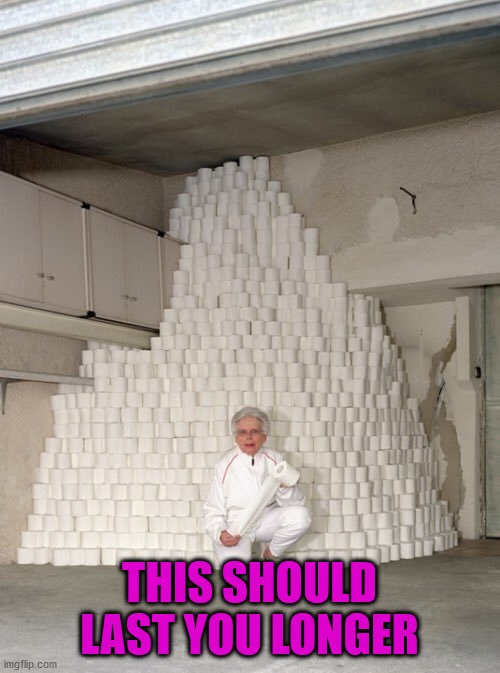 mountain of toilet paper | THIS SHOULD LAST YOU LONGER | image tagged in mountain of toilet paper | made w/ Imgflip meme maker