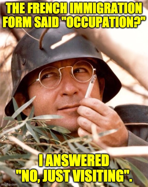 Occupation | THE FRENCH IMMIGRATION FORM SAID "OCCUPATION?"; I ANSWERED "NO, JUST VISITING". | image tagged in wolfgang the german soldier | made w/ Imgflip meme maker