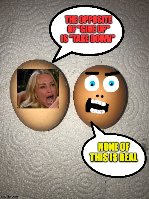 unreal | THE OPPOSITE OF "GIVE UP" IS "TAKE DOWN"; NONE OF THIS IS REAL | image tagged in eggs,unreal,real,reality,false,present day | made w/ Imgflip meme maker