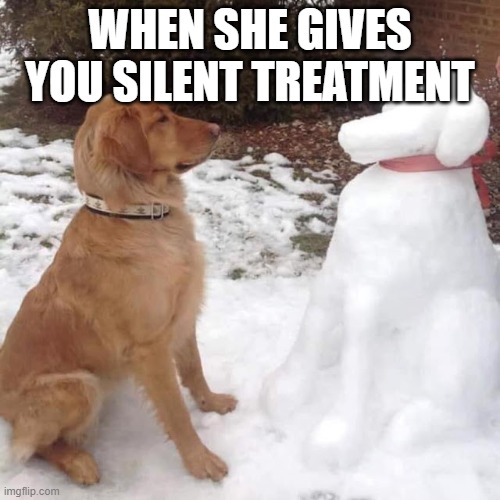 WHEN SHE GIVES YOU SILENT TREATMENT | made w/ Imgflip meme maker