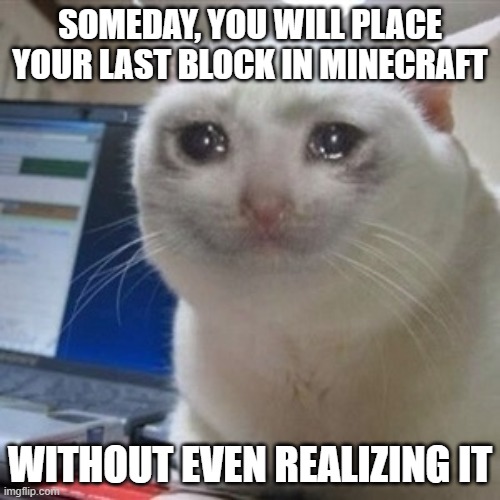 it's true but it's sad |  SOMEDAY, YOU WILL PLACE YOUR LAST BLOCK IN MINECRAFT; WITHOUT EVEN REALIZING IT | image tagged in crying cat | made w/ Imgflip meme maker