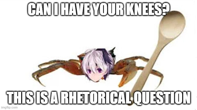 CAN I HAVE YOUR KNEES? THIS IS A RHETORICAL QUESTION | image tagged in vocaloid,vflower | made w/ Imgflip meme maker