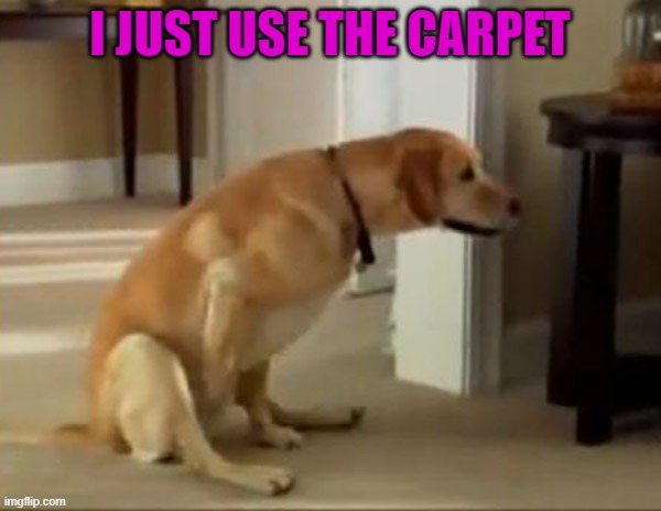 I JUST USE THE CARPET | made w/ Imgflip meme maker