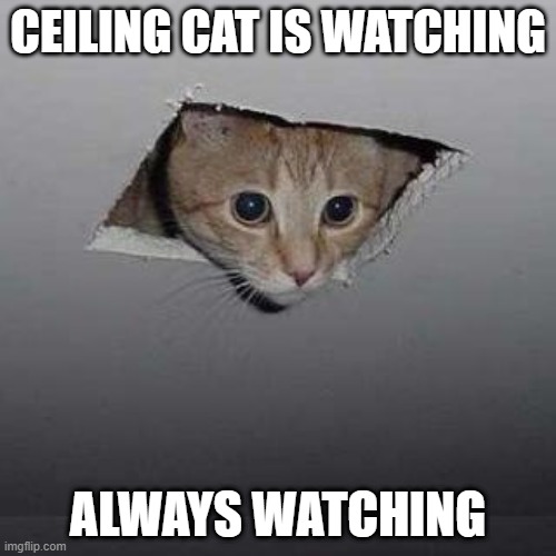 Ceiling Cat | CEILING CAT IS WATCHING; ALWAYS WATCHING | image tagged in memes,ceiling cat | made w/ Imgflip meme maker