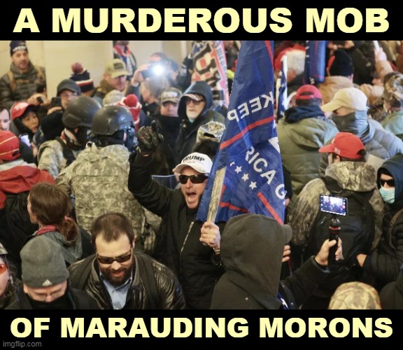 The FBI won't catch them all at once, but it will catch them all. | A MURDEROUS MOB; OF MARAUDING MORONS | image tagged in a murderous mob of marauding morons capitol qanon trump,murderer,mob,morons,capitol hill,riot | made w/ Imgflip meme maker