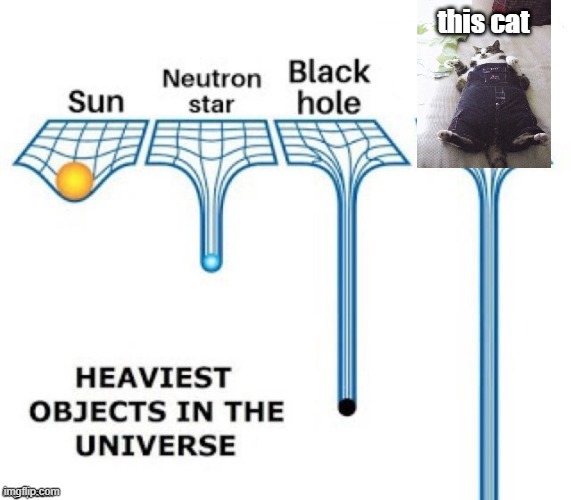 CATETH | this cat | image tagged in heaviest objects in the universe | made w/ Imgflip meme maker