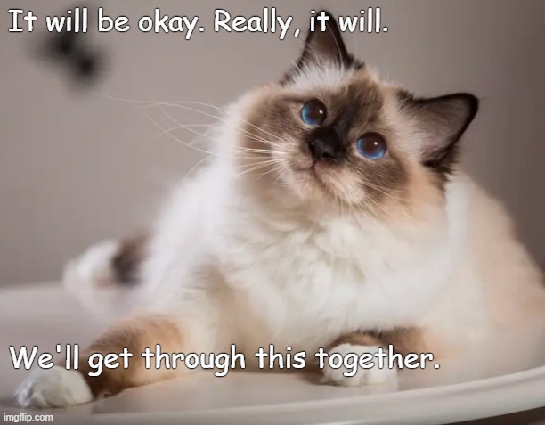 It Will Be Okay Imgflip
