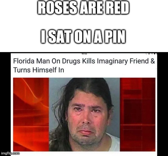 You can tell us feels bad. | ROSES ARE RED; I SAT ON A PIN | image tagged in funny,memes,florida man | made w/ Imgflip meme maker