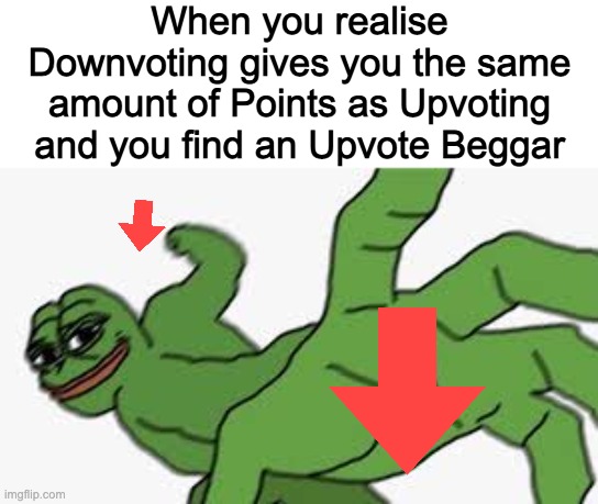 Thats Kinda Cringe Ngl. | When you realise Downvoting gives you the same amount of Points as Upvoting and you find an Upvote Beggar | image tagged in keine gnade,keine uberlebenden | made w/ Imgflip meme maker