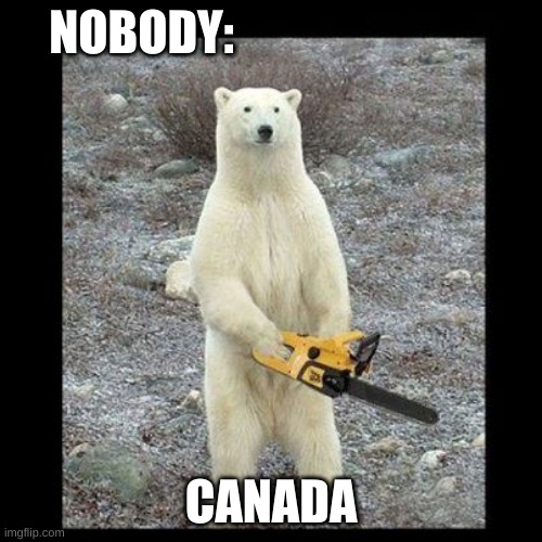 Canada | NOBODY:; CANADA | image tagged in memes,chainsaw bear | made w/ Imgflip meme maker