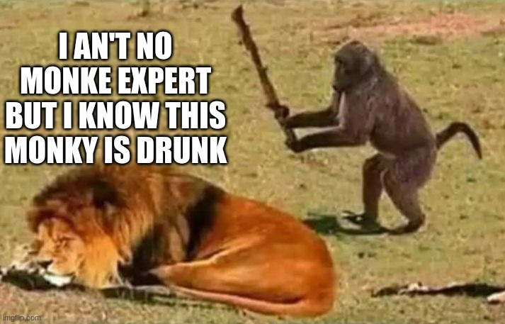 Drunk Monkey |  I AN'T NO MONKEY EXPERT BUT I KNOW THIS MONKEY IS DRUNK | image tagged in drunk monkey | made w/ Imgflip meme maker