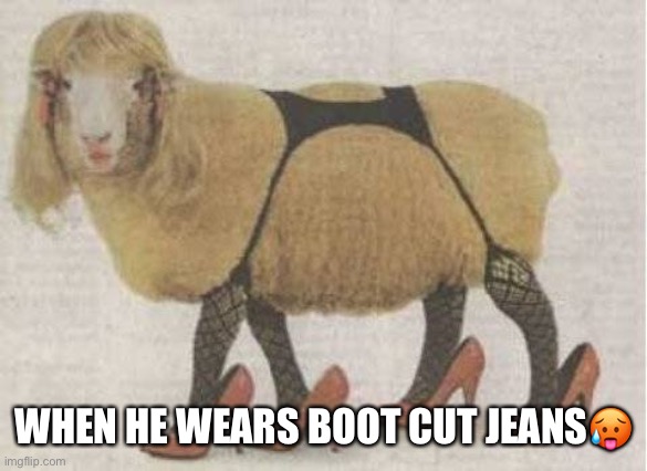 sexy sheep | WHEN HE WEARS BOOT CUT JEANS🥵 | image tagged in sexy sheep | made w/ Imgflip meme maker