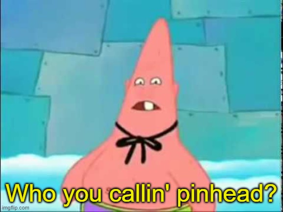 Who You Calling Patrick | Who you callin' pinhead? | image tagged in who you calling patrick | made w/ Imgflip meme maker