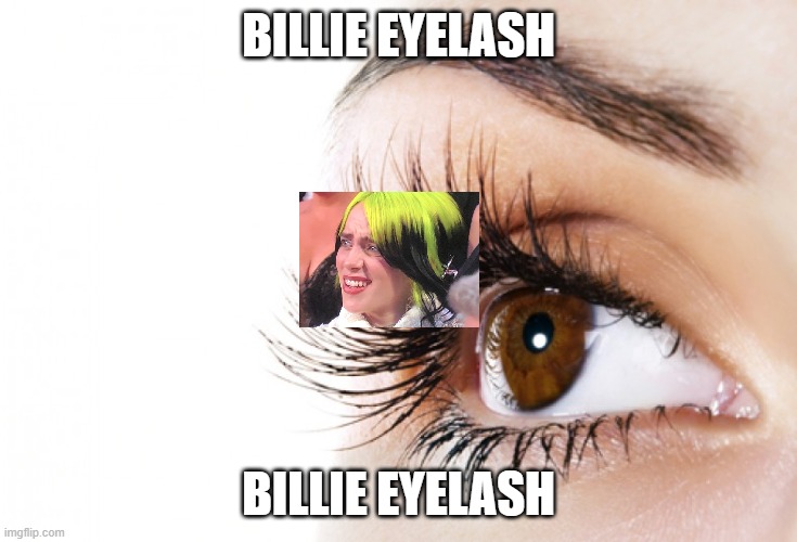 eyelashes | BILLIE EYELASH BILLIE EYELASH | image tagged in eyelashes | made w/ Imgflip meme maker