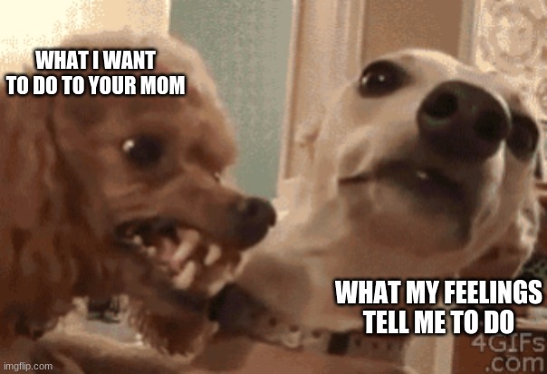 yerp | WHAT I WANT TO DO TO YOUR MOM; WHAT MY FEELINGS TELL ME TO DO | image tagged in angry doog | made w/ Imgflip meme maker