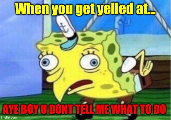 Mocking Spongebob Meme | When you get yelled at... AYE BOY U DONT TELL ME WHAT TO DO | image tagged in memes,mocking spongebob | made w/ Imgflip meme maker