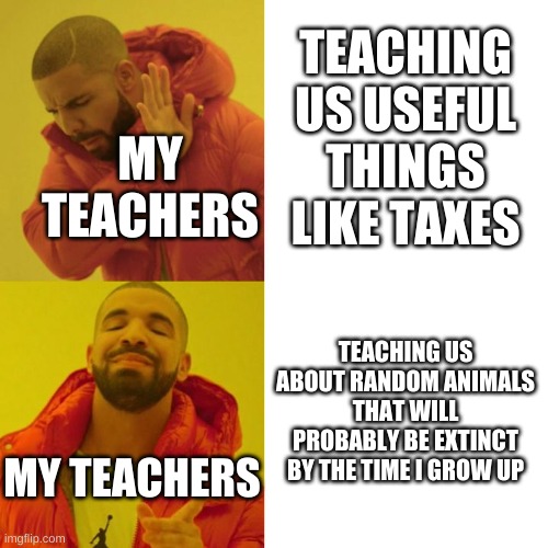 Drake Blank | TEACHING US USEFUL THINGS LIKE TAXES; MY TEACHERS; TEACHING US ABOUT RANDOM ANIMALS THAT WILL PROBABLY BE EXTINCT BY THE TIME I GROW UP; MY TEACHERS | image tagged in drake blank | made w/ Imgflip meme maker