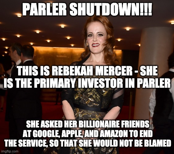Can't blame me - if "we" can blame big tech | PARLER SHUTDOWN!!! THIS IS REBEKAH MERCER - SHE IS THE PRIMARY INVESTOR IN PARLER; SHE ASKED HER BILLIONAIRE FRIENDS AT GOOGLE, APPLE, AND AMAZON TO END THE SERVICE, SO THAT SHE WOULD NOT BE BLAMED | image tagged in rebekah mercer parler primary investor | made w/ Imgflip meme maker