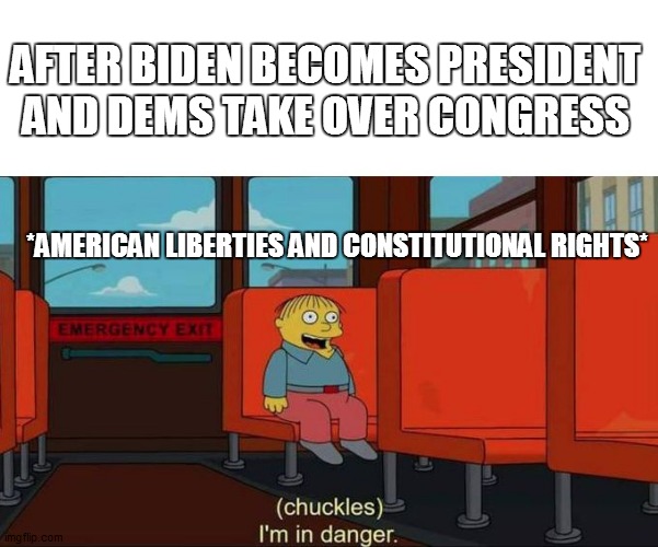 I'm in Danger + blank place above | AFTER BIDEN BECOMES PRESIDENT AND DEMS TAKE OVER CONGRESS; *AMERICAN LIBERTIES AND CONSTITUTIONAL RIGHTS* | image tagged in i'm in danger blank place above | made w/ Imgflip meme maker