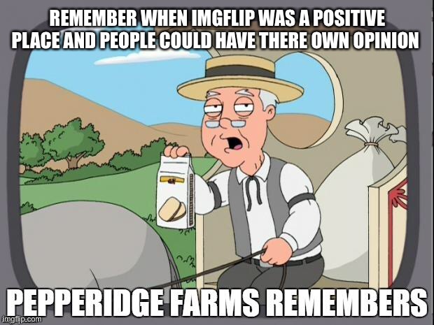 REMEMBER WHEN IMGFLIP WAS A POSITIVE PLACE AND PEOPLE COULD HAVE THERE OWN OPINION | image tagged in pepperidge farms remembers | made w/ Imgflip meme maker
