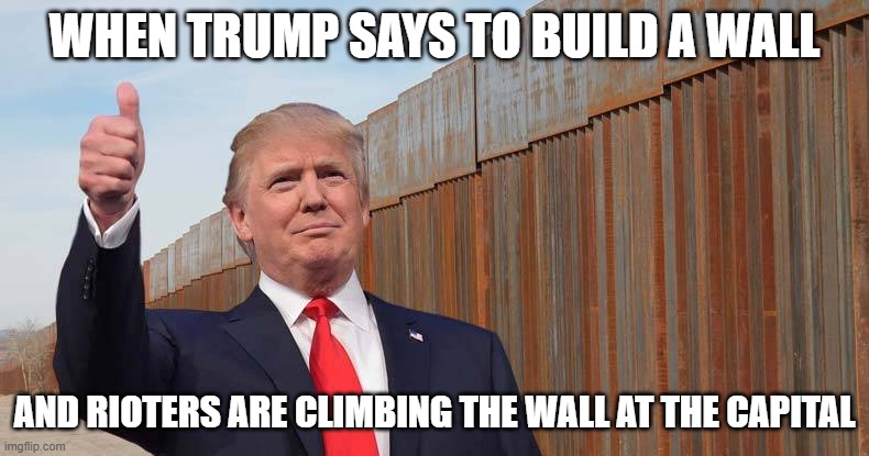 Trump wall | WHEN TRUMP SAYS TO BUILD A WALL; AND RIOTERS ARE CLIMBING THE WALL AT THE CAPITAL | image tagged in trump wall | made w/ Imgflip meme maker
