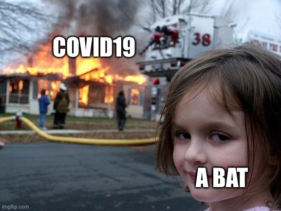 How it all started | COVID19; A BAT | image tagged in memes,disaster girl | made w/ Imgflip meme maker